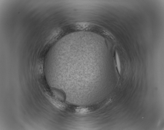 X0000079280602200612011700