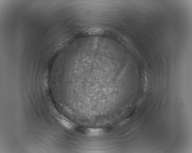 X0000079280604200612011700