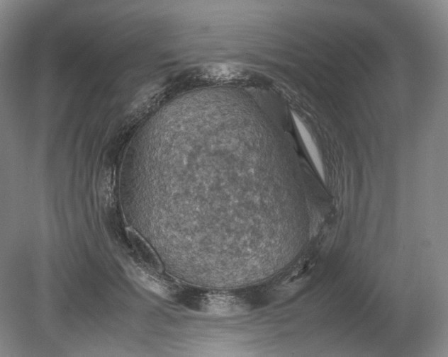 X0000079280605200612011700