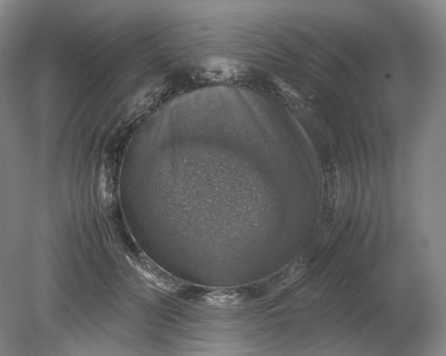 X0000079280606200612011700