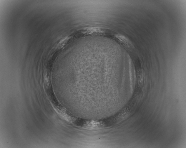 X0000079280607200612011700