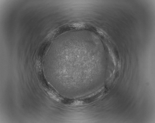 X0000079280609200612011700