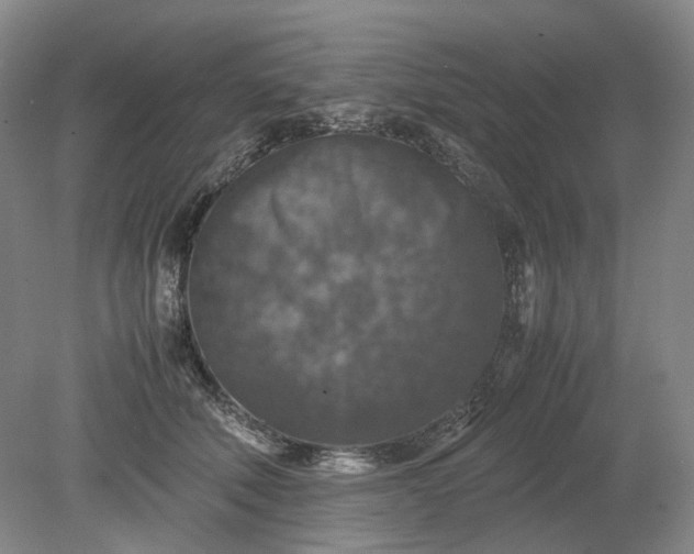 X0000079280610200612011700