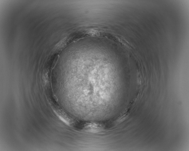 X0000079280611200612011700