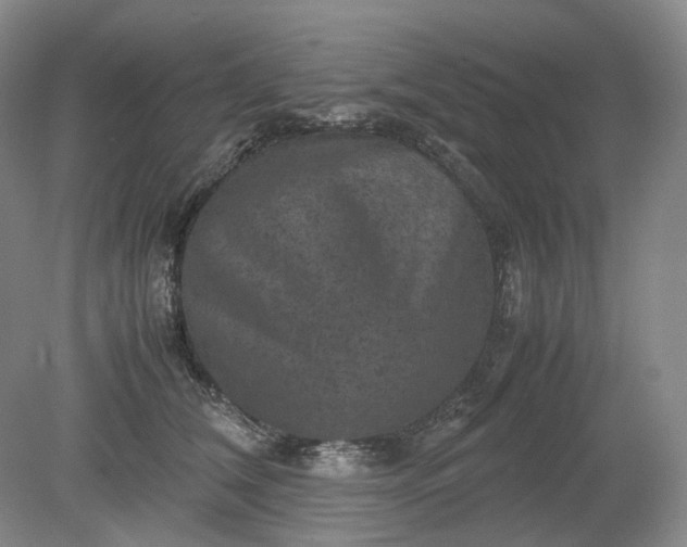 X0000079280612200612011700