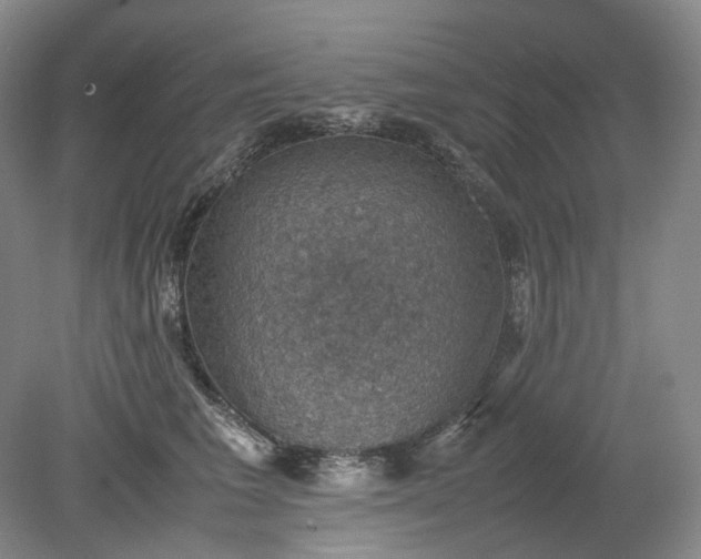 X0000079280613200612011700