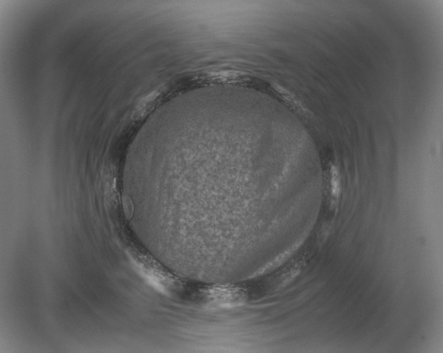 X0000079280615200612011700