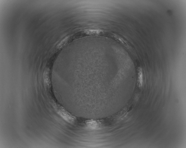 X0000079280616200612011700