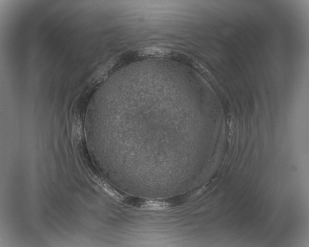 X0000079280617200612011700