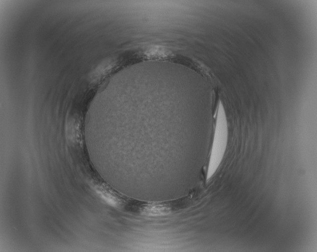 X0000079280619200612011700