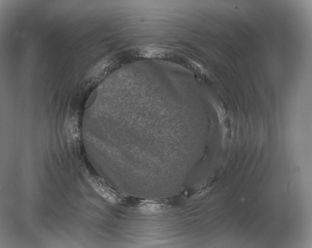 X0000079280620200612011700