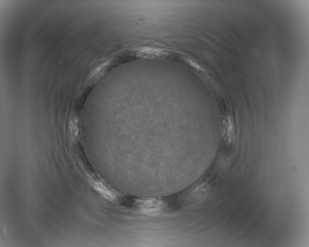 X0000079280621200612011700