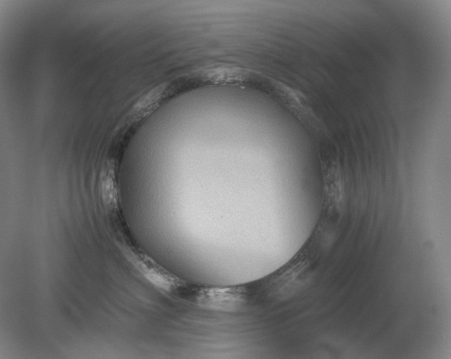 X0000079280622200612011700