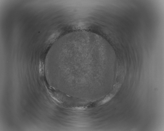 X0000079280624200612011659