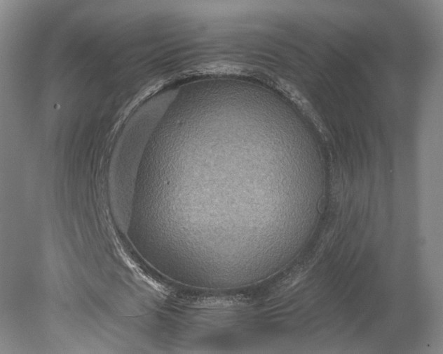 X0000079280625200612011659