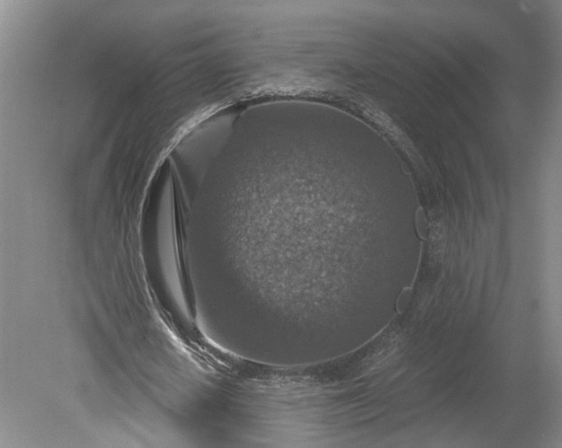 X0000079280626200612011659