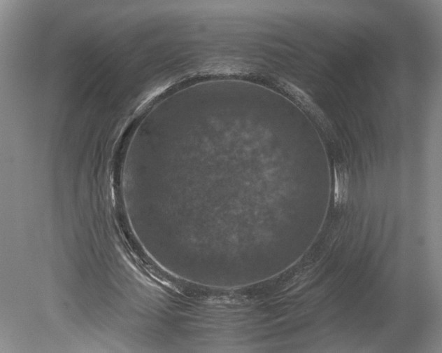 X0000079280627200612011659