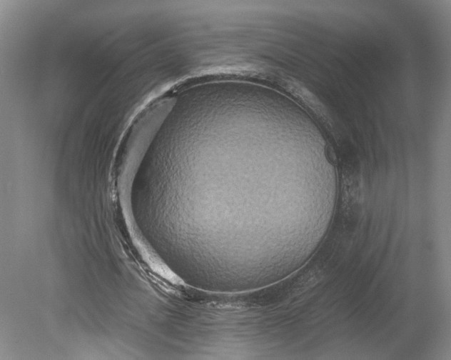 X0000079280628200612011659