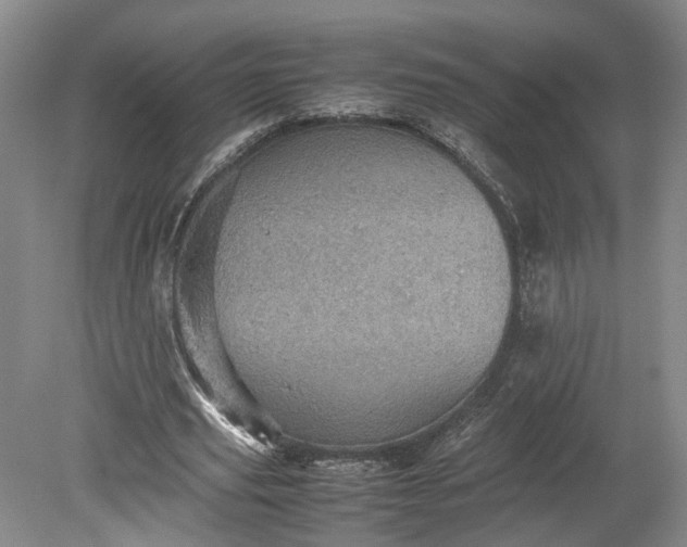 X0000079280629200612011659