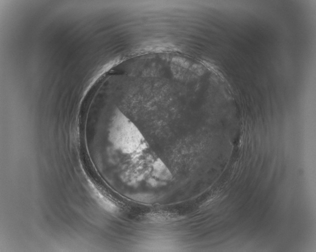 X0000079280630200612011659