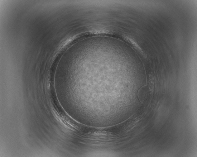 X0000079280631200612011659