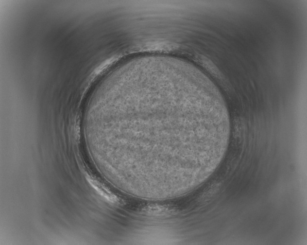 X0000079280632200612011659