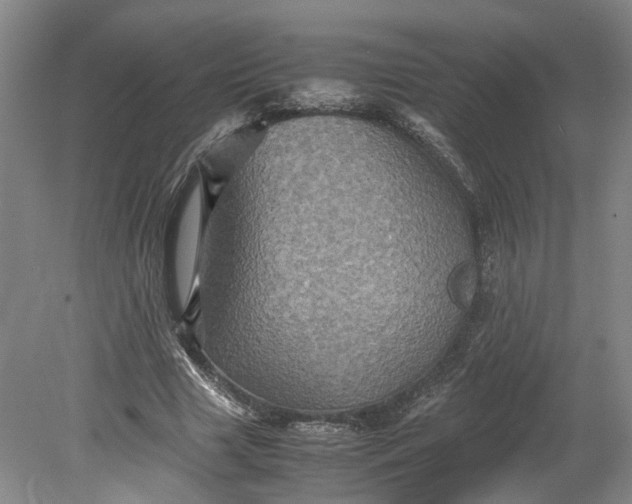 X0000079280633200612011659