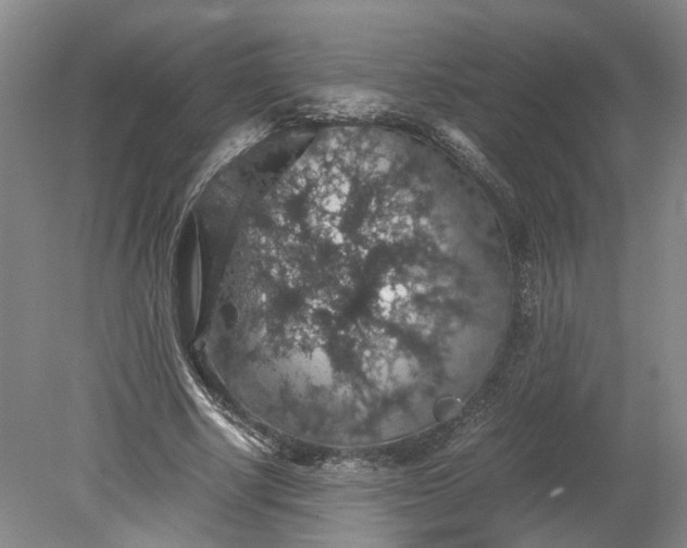 X0000079280634200612011659