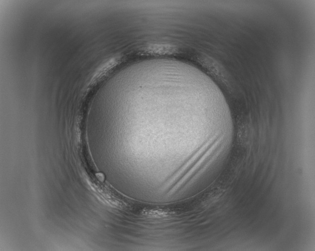 X0000079280635200612011659