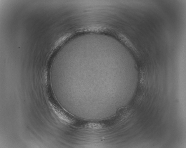 X0000079280636200612011659