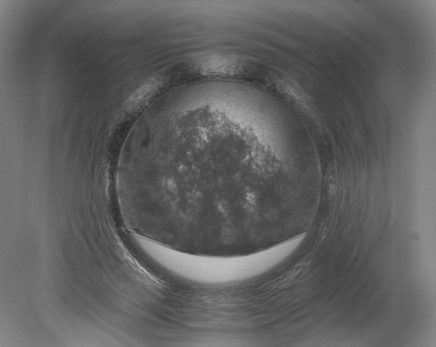 X0000079280637200612011659