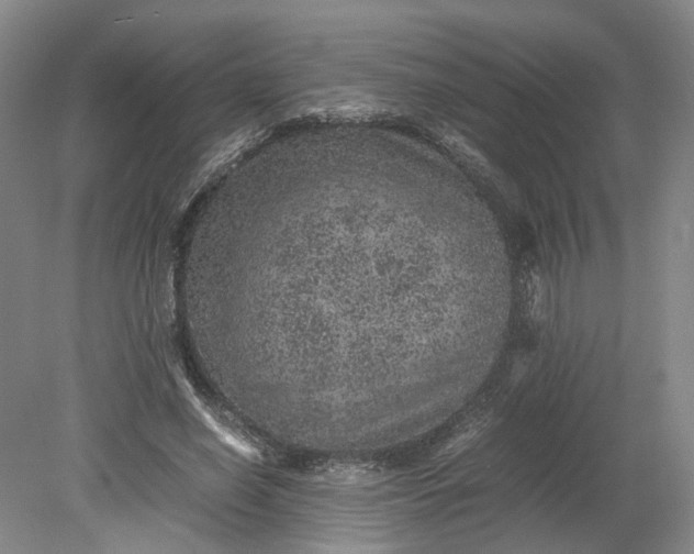 X0000079280638200612011659