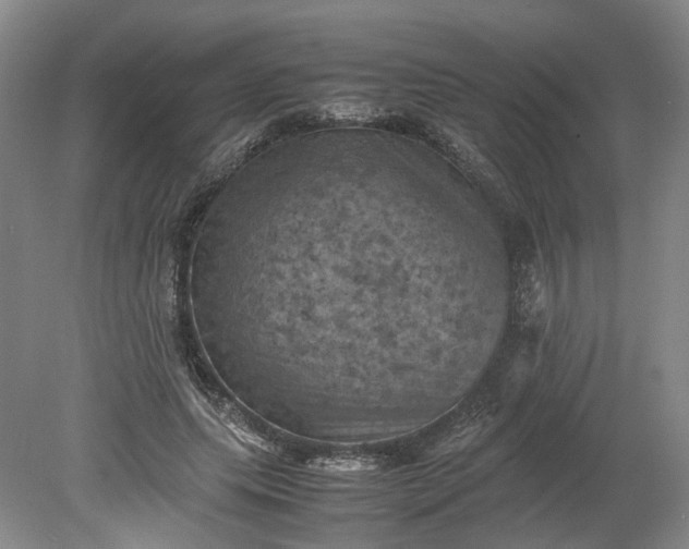 X0000079280639200612011659