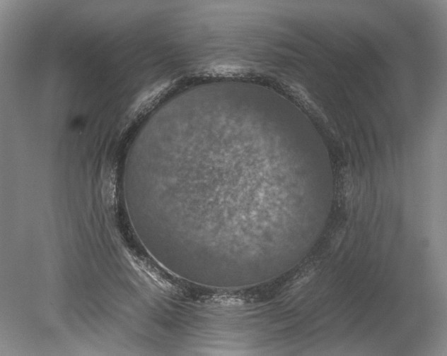 X0000079280640200612011659