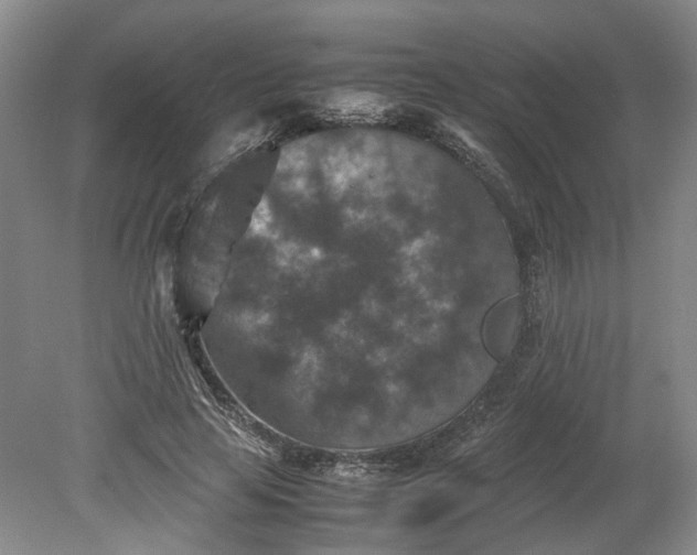 X0000079280641200612011659