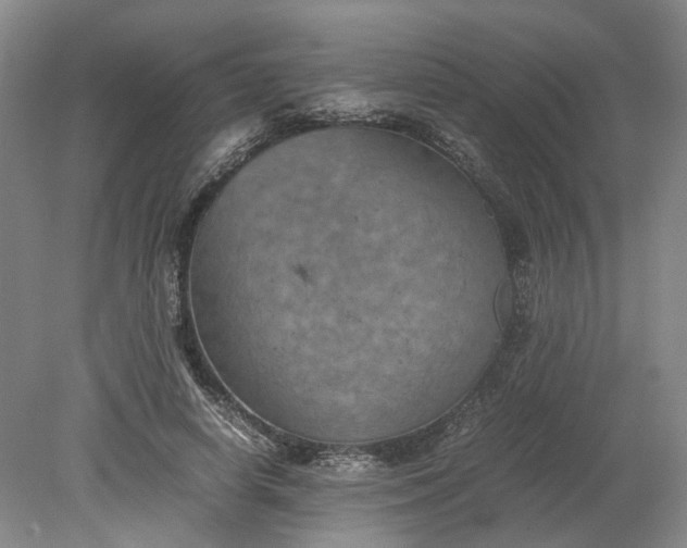 X0000079280642200612011659