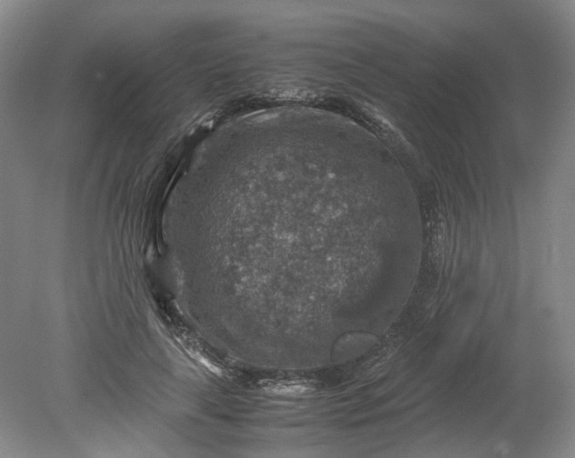 X0000079280643200612011659