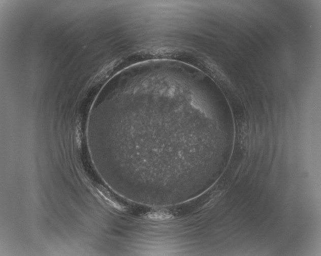 X0000079280644200612011659