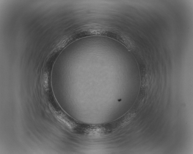 X0000079280646200612011659