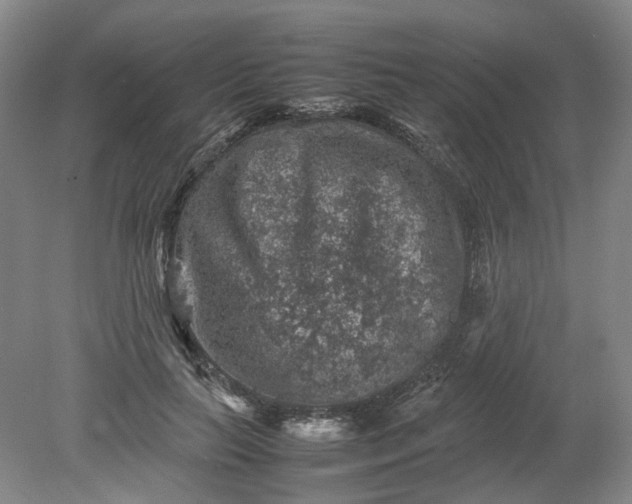 X0000079280647200612011659