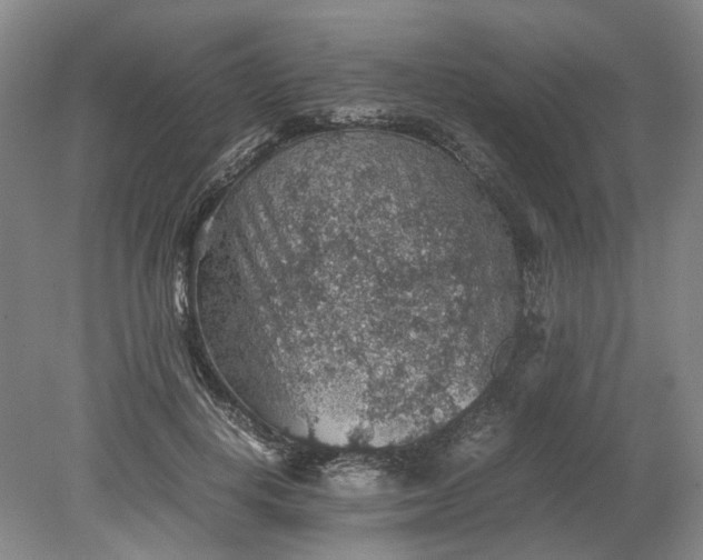 X0000079280648200612011659