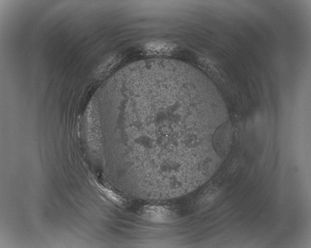 X0000079280649200612011659