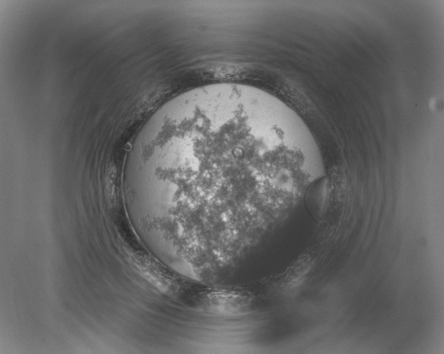 X0000079280650200612011659