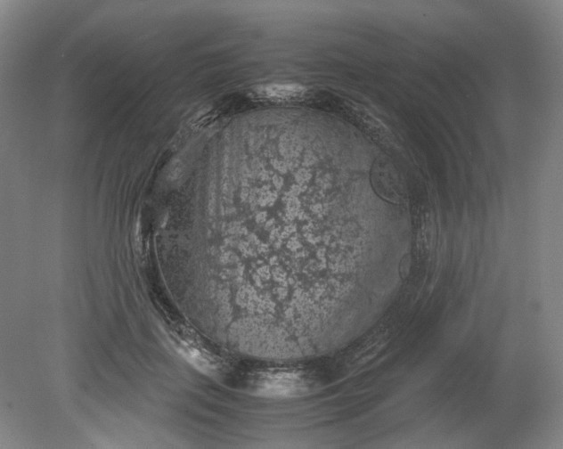 X0000079280651200612011659