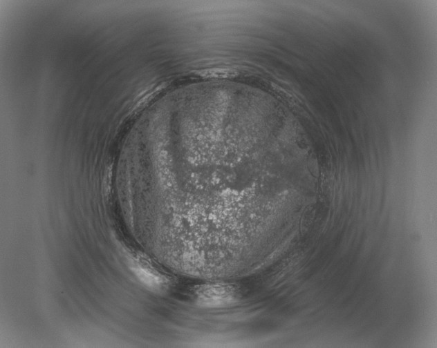 X0000079280652200612011659