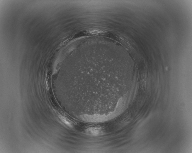 X0000079280653200612011659