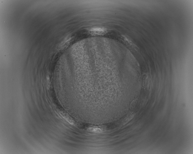 X0000079280655200612011659