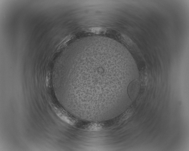 X0000079280656200612011659