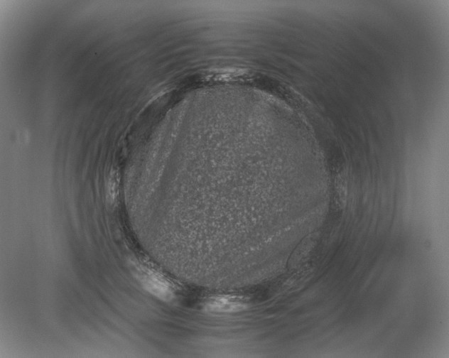 X0000079280657200612011659