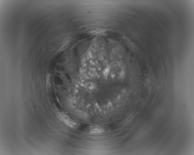 X0000079280658200612011659